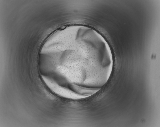 X0000113630481200910091559