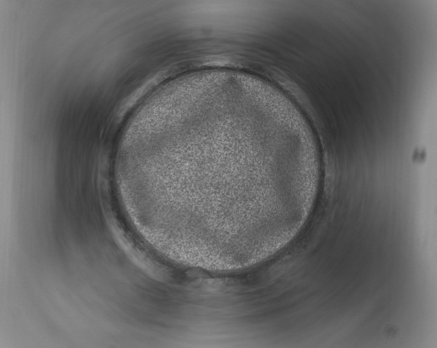 X0000113630482200910091559