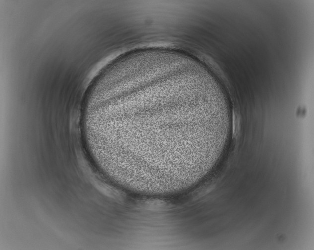 X0000113630483200910091559