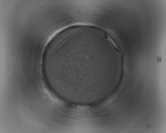 X0000113630484200910091559