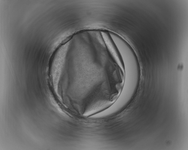 X0000113630485200910091559