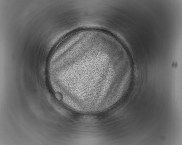 X0000113630487200910091559