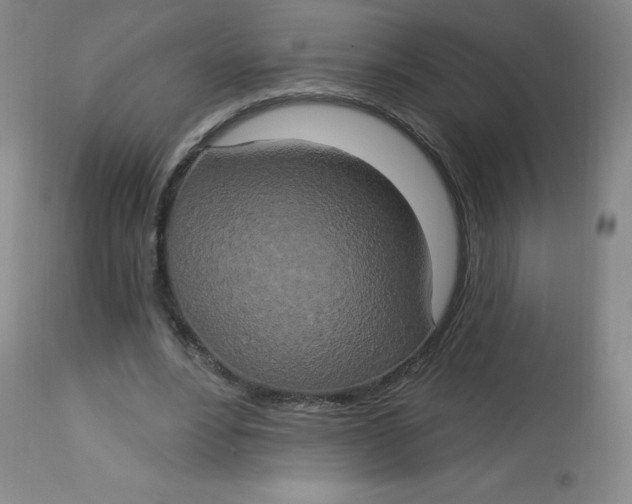 X0000113630488200910091559