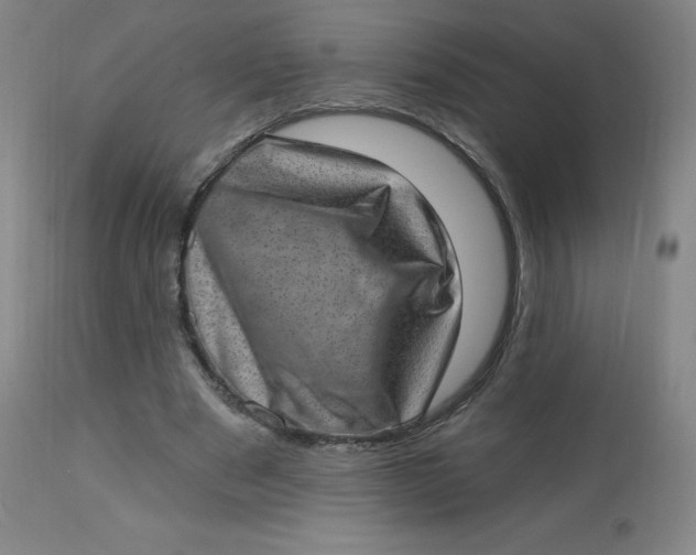 X0000113630489200910091559