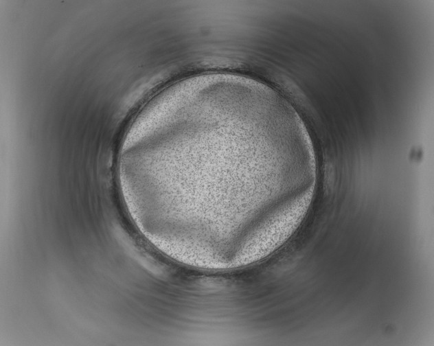 X0000113630490200910091559