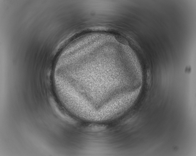 X0000113630491200910091559