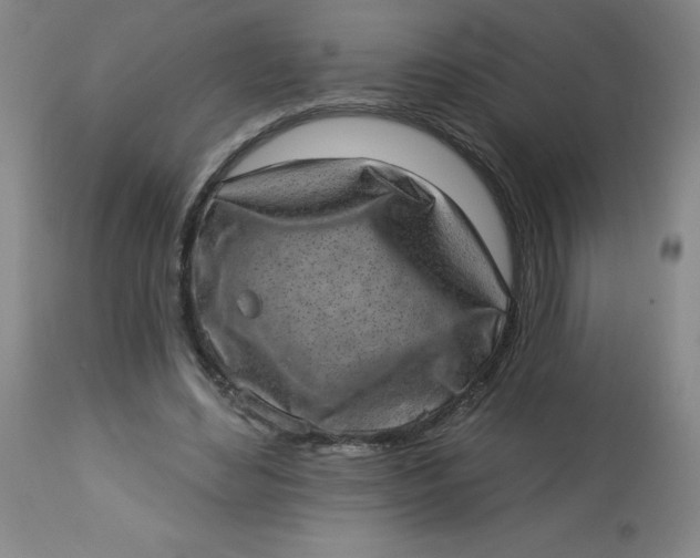 X0000113630492200910091559