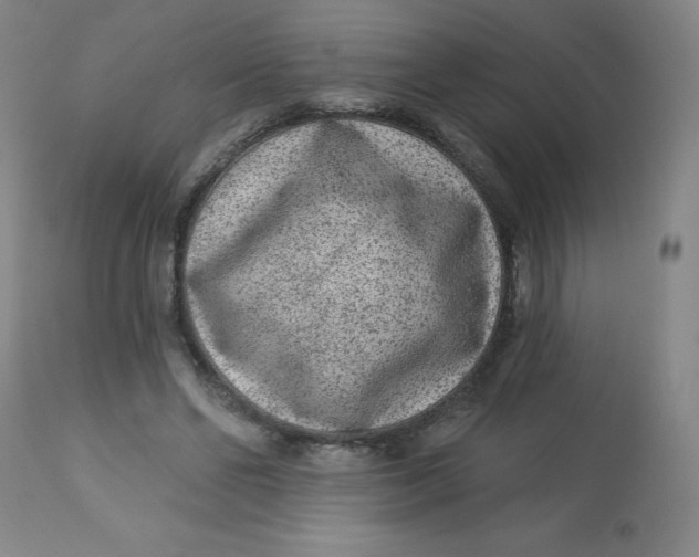 X0000113630494200910091559