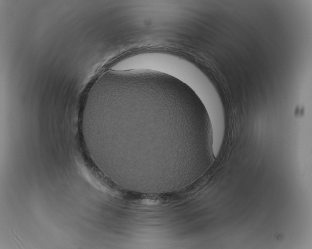 X0000113630496200910091559