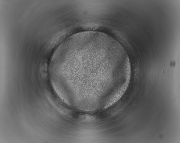 X0000113630498200910091559