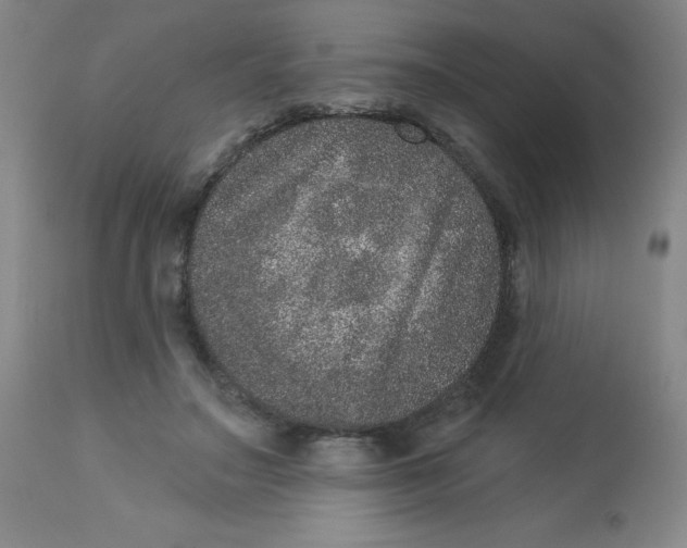 X0000113630499200910091559