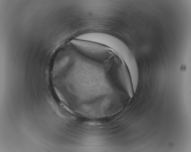 X0000113630500200910091559