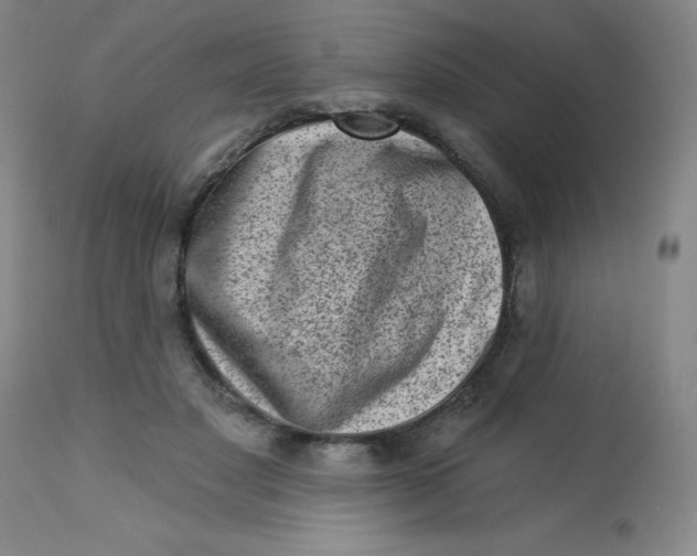 X0000113630501200910091559