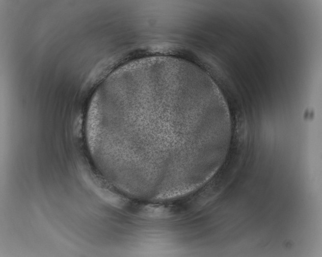 X0000113630502200910091559