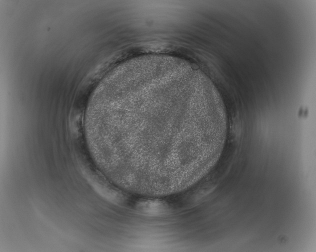 X0000113630503200910091559