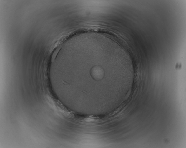 X0000113630504200910091559