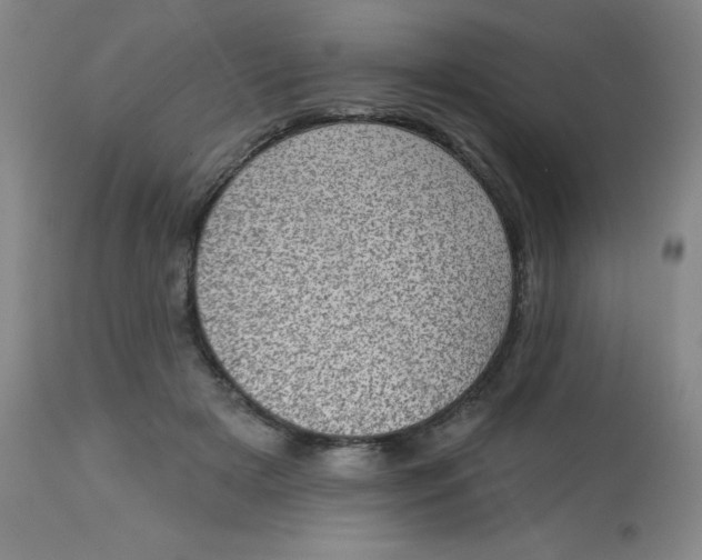 X0000113630505200910091559