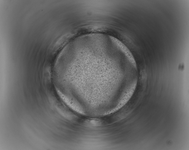 X0000113630506200910091559