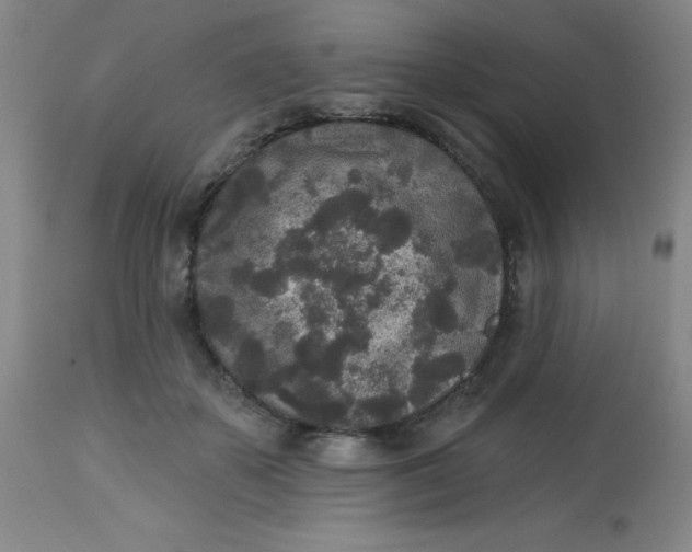 X0000113630507200910091559