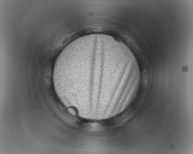 X0000113630509200910091559