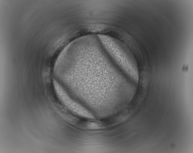 X0000113630510200910091559