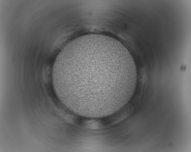 X0000113630511200910091559