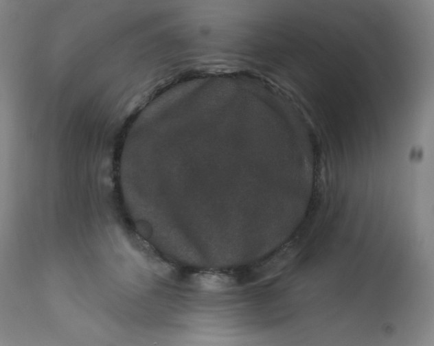 X0000113630512200910091559