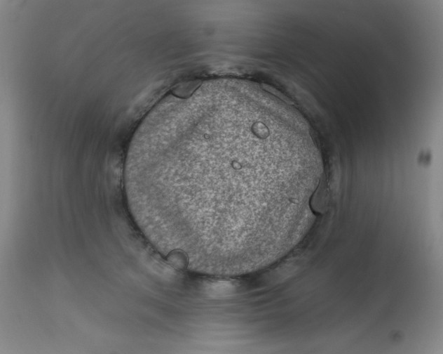 X0000113630513200910091559