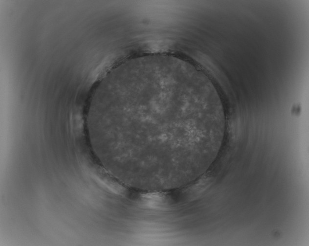 X0000113630516200910091559