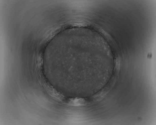 X0000113630517200910091559