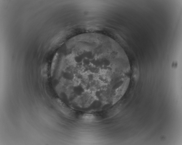 X0000113630519200910091559