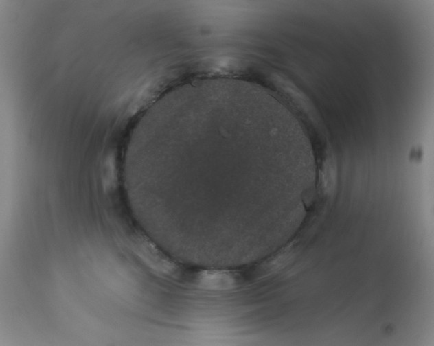 X0000113630520200910091559