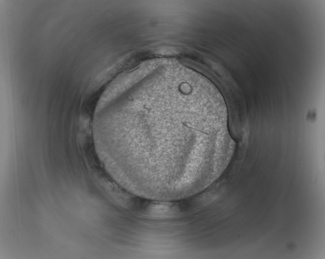 X0000113630521200910091559