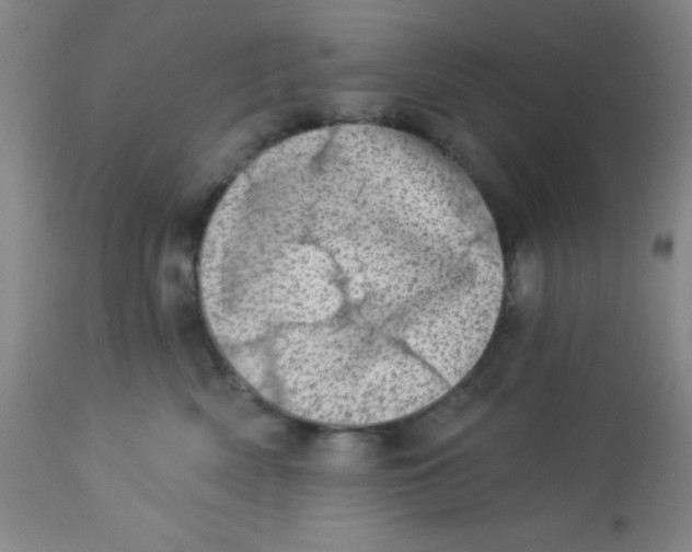 X0000113630522200910091558