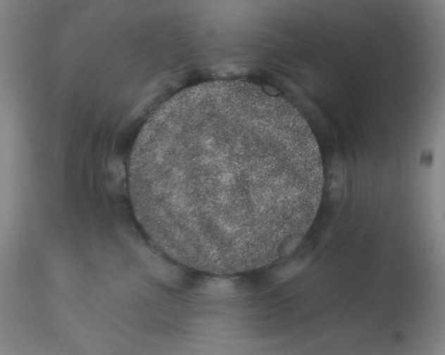 X0000113630523200910091558