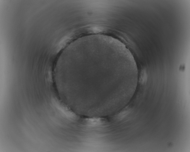 X0000113630524200910091558