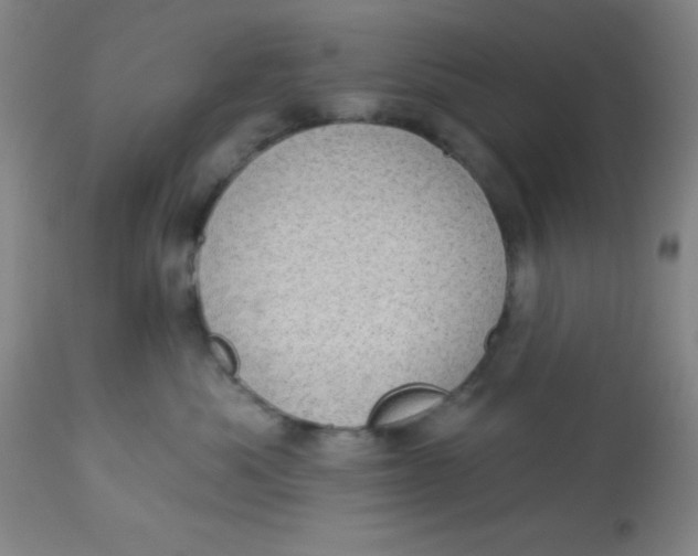 X0000113630525200910091558