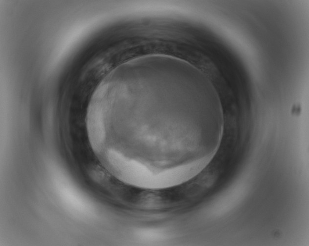 X0000113630526200910091558