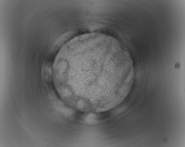 X0000113630527200910091558