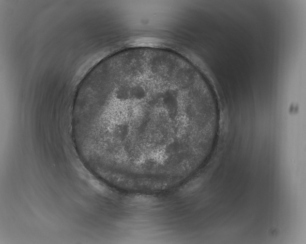 X0000113630529200910091558