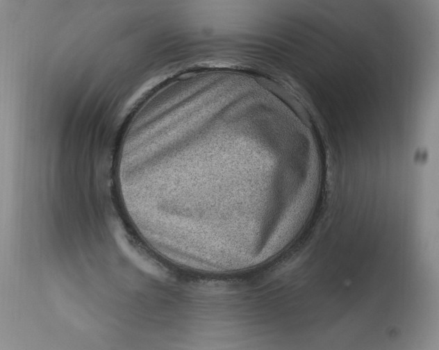 X0000113630530200910091558