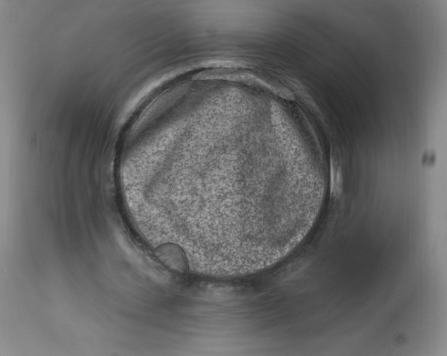 X0000113630531200910091558