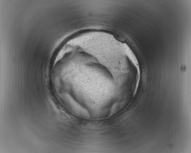 X0000113630532200910091558