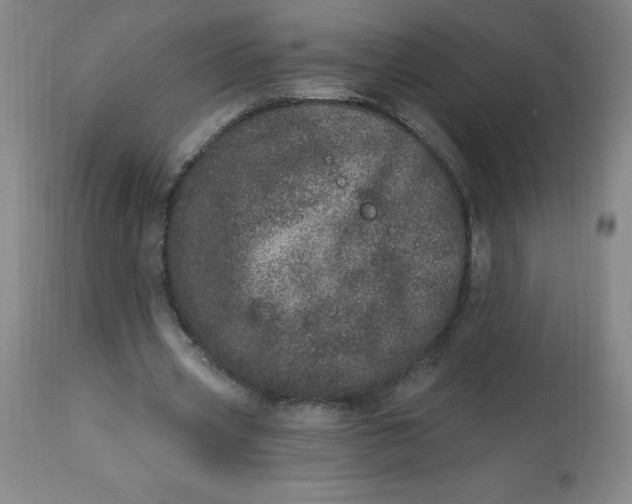 X0000113630533200910091558