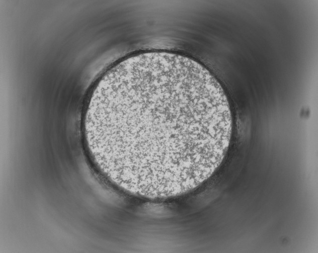 X0000113630534200910091558