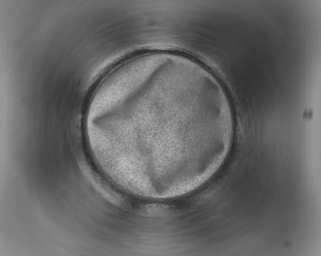 X0000113630535200910091558