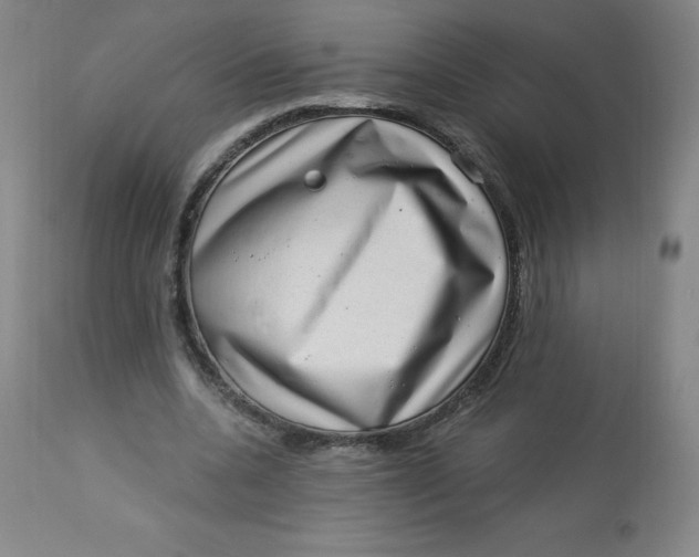 X0000113630536200910091558