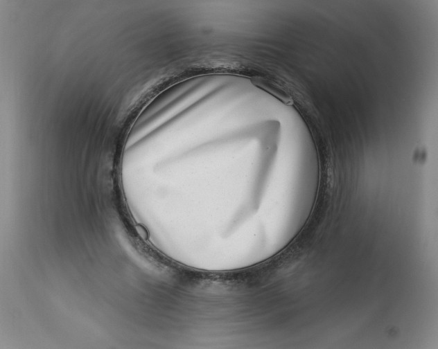 X0000113630538200910091558