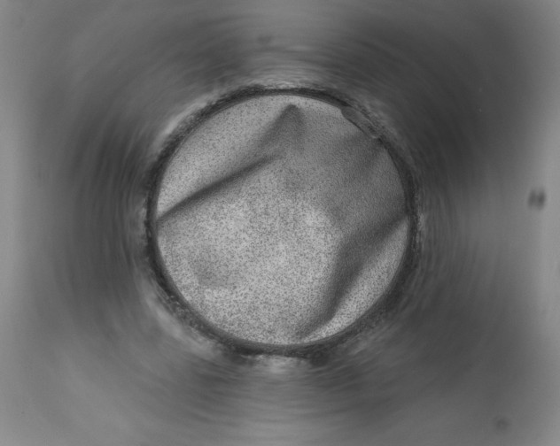 X0000113630539200910091558