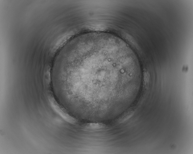 X0000113630541200910091558